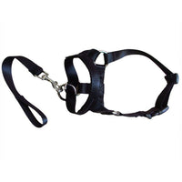 HKM-227731 Nylon Dog Cover with Adjustable Leash - Available in Black, Red, and Blue