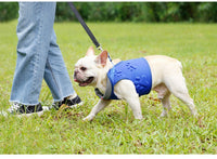 HKM-714963 Comfortable Dog Vest with Breathable Mesh and Shock-Absorbing Design
