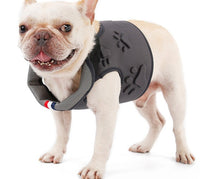 HKM-714963 Comfortable Dog Vest with Breathable Mesh and Shock-Absorbing Design