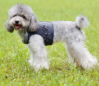 HKM-714963 Comfortable Dog Vest with Breathable Mesh and Shock-Absorbing Design