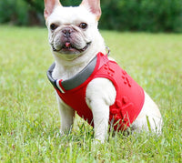 HKM-714963 Comfortable Dog Vest with Breathable Mesh and Shock-Absorbing Design