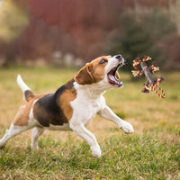 HKM-317459 Durable Rubber Rope Toy for Large Dogs – Tree Branch Design for Outdoor Training and Chewing