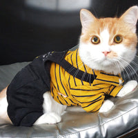 HKM-441171 Cozy Knitted Winter Clothes for Kittens and Cats in Striped Patterns