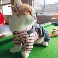 HKM-441171 Cozy Knitted Winter Clothes for Kittens and Cats in Striped Patterns