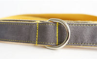 HKM-476371 Medium to Large Dog Traction Collar and Rope Set in Light Blue and Yellow