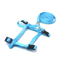 HKM-325203 Rabbit Walking Rope in Multiple Variants - Normal, Enhanced & Double-Layered Options in Pink and Light Blue