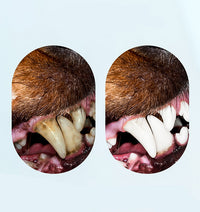 HKM-136659 Interactive Chew Dog Toothbrush Toy - Small Octopus Design for Clean Teeth and Fresh Breath