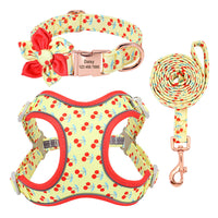 HKM-056147 Small Dog Leash and Collar Set with Adjustable Towing Rope for Corgis and Other Breeds