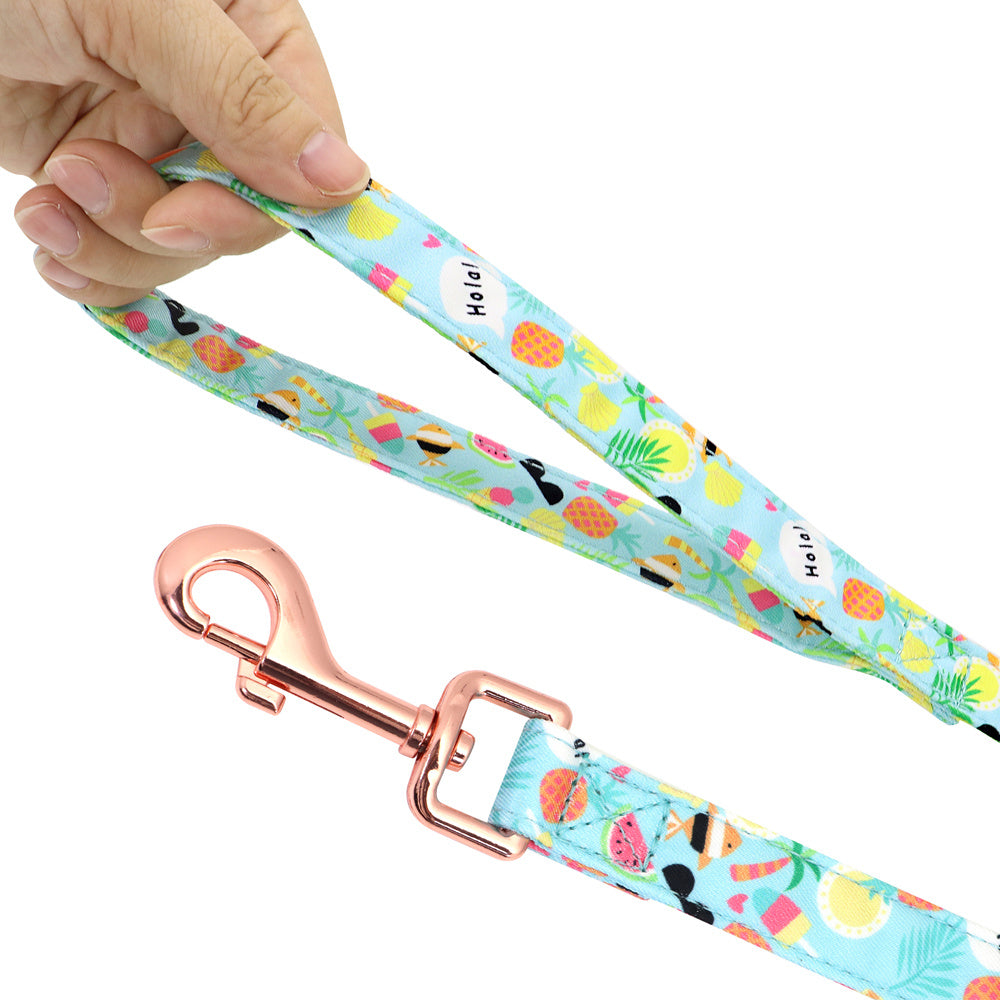 HKM-056147 Small Dog Leash and Collar Set with Adjustable Towing Rope for Corgis and Other Breeds