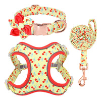HKM-056147 Small Dog Leash and Collar Set with Adjustable Towing Rope for Corgis and Other Breeds