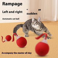 HKM-442771 Interactive Rolling Cat Toy with Motion and Sound Features - Auto Shut Off and Three Speed Modes