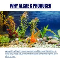 HKM-582867 Lichen Algaecide for Fish Tank Cleaning - Effective Moss and Green Water Algae Remover