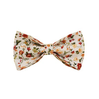 HKM-588499 Small White Flower Dog Collar and Leash Set with Bow and Vest - Five-Piece Accessory Collection