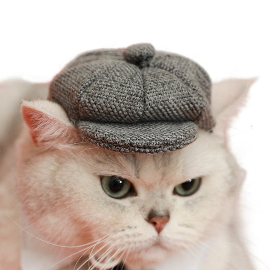 HKM-796819 Gentleman Cat Beret and Tie Photo Props for Adult Cats