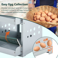 HKM-957139 Roll Away 6 Compartment Chicken Nesting Box with Easy Egg Collection and Cleaning System, Green