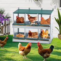 HKM-957139 Roll Away 6 Compartment Chicken Nesting Box with Easy Egg Collection and Cleaning System, Green