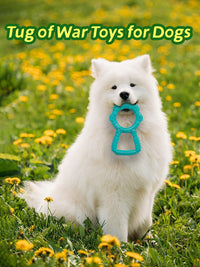 HKM-664403 Interactive Dog Chewing Toy with Teeth Grinding Stick and Pull Ring