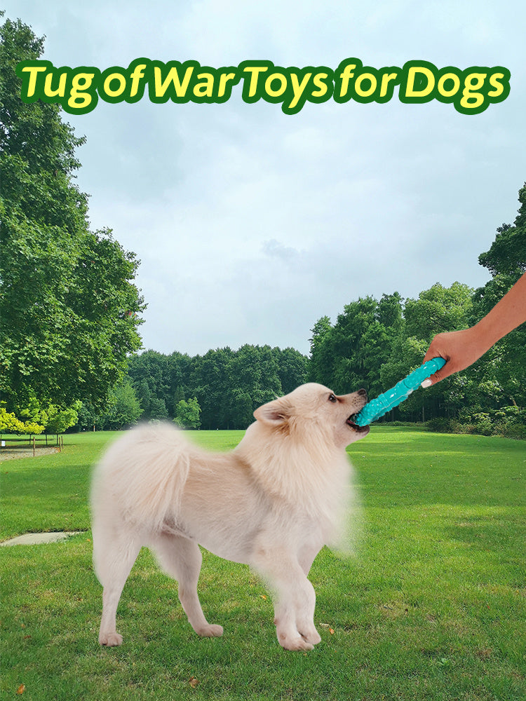 HKM-664403 Interactive Dog Chewing Toy with Teeth Grinding Stick and Pull Ring