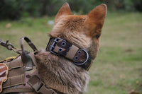 HKM-288659 Adjustable Five-Speed Nylon Pin Buckle Dog Collar - Sizes M, L, XL in Black, Green, Brown, ACU, CP, Sand Number