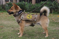 HKM-288659 Adjustable Five-Speed Nylon Pin Buckle Dog Collar - Sizes M, L, XL in Black, Green, Brown, ACU, CP, Sand Number