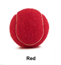 HKM-364883 Durable Rubber Tennis Balls for Dogs - Bite-Resistant Pet Toy in Multiple Colors