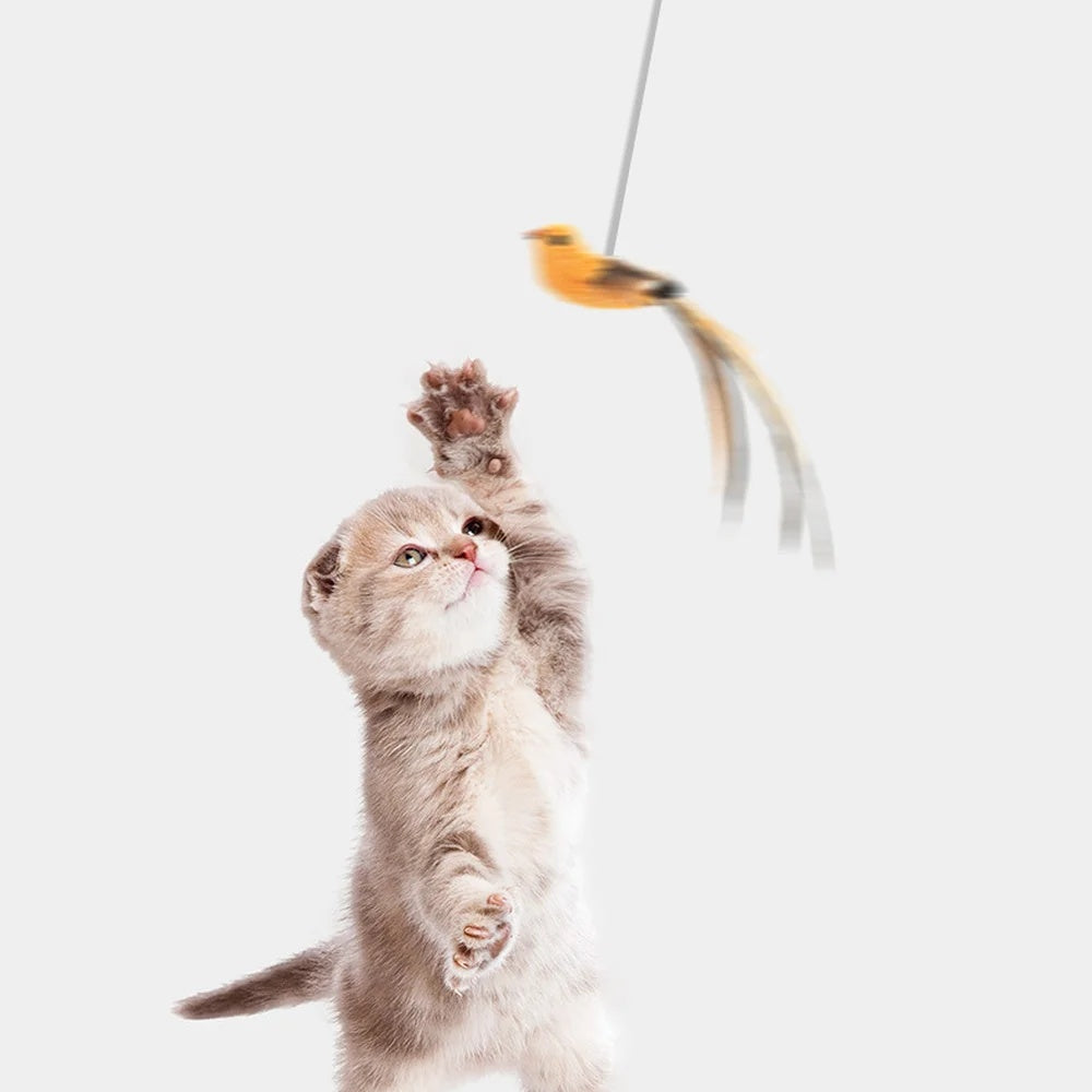 HKM-396499 Automatic Lifting Motion Cat Toy with Interactive Teasing Feather for Engaging Playtime Activities