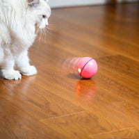 HKM-395347 USB Laser Cat Toy with Timer Function - Interactive Plastic Sounding Toy for Feline Fun