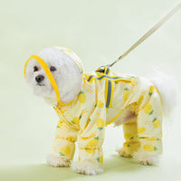 HKM-105747 Waterproof Raincoat for Dogs with Fun Fruit Prints in Multiple Sizes