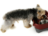 HKM-599827 Double Basin Splash-Proof Stainless Steel Dog and Cat Bowl Set for Pets