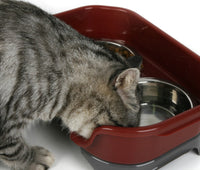 HKM-599827 Double Basin Splash-Proof Stainless Steel Dog and Cat Bowl Set for Pets