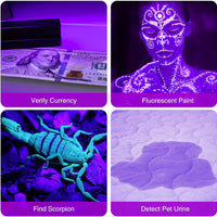 HKM-294227 Mini UV LED Flashlight for Detecting Pet Urine, Bed Bugs, and Scorpions