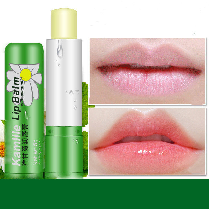 HKM-383187 Chamomile Infused Moisturizing Repair Lip Balm for Chapped Lips