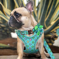 HKM-568083 Cactus Print Vest with Collar, Strap, and Chain for Small to Medium Dogs