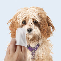 HKM-038227 Grooming Wipes for Pets - 80 Count, Versatile Cleaning for Feet, Ears, Mouth, and More