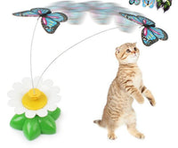 HKM-410003 Electric Rotating Butterfly and Bird Flower Pet Toy with Remote Control