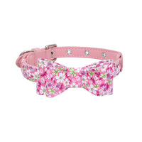 HKM-837651 Leather Pet Collar with Scalable Design, Available in Multiple Sizes (XS, S, M)