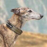 HKM-555731 Tactical Dog Collar with Handle - 1.25 In Wide, Padded Nylon with Quick-Release Clasp and Airtag Case