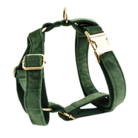 HKM-177171 Scalable Velvet Fabric Dog Collar Set with Bow, Flower, Vest, Leash & Poop Bag