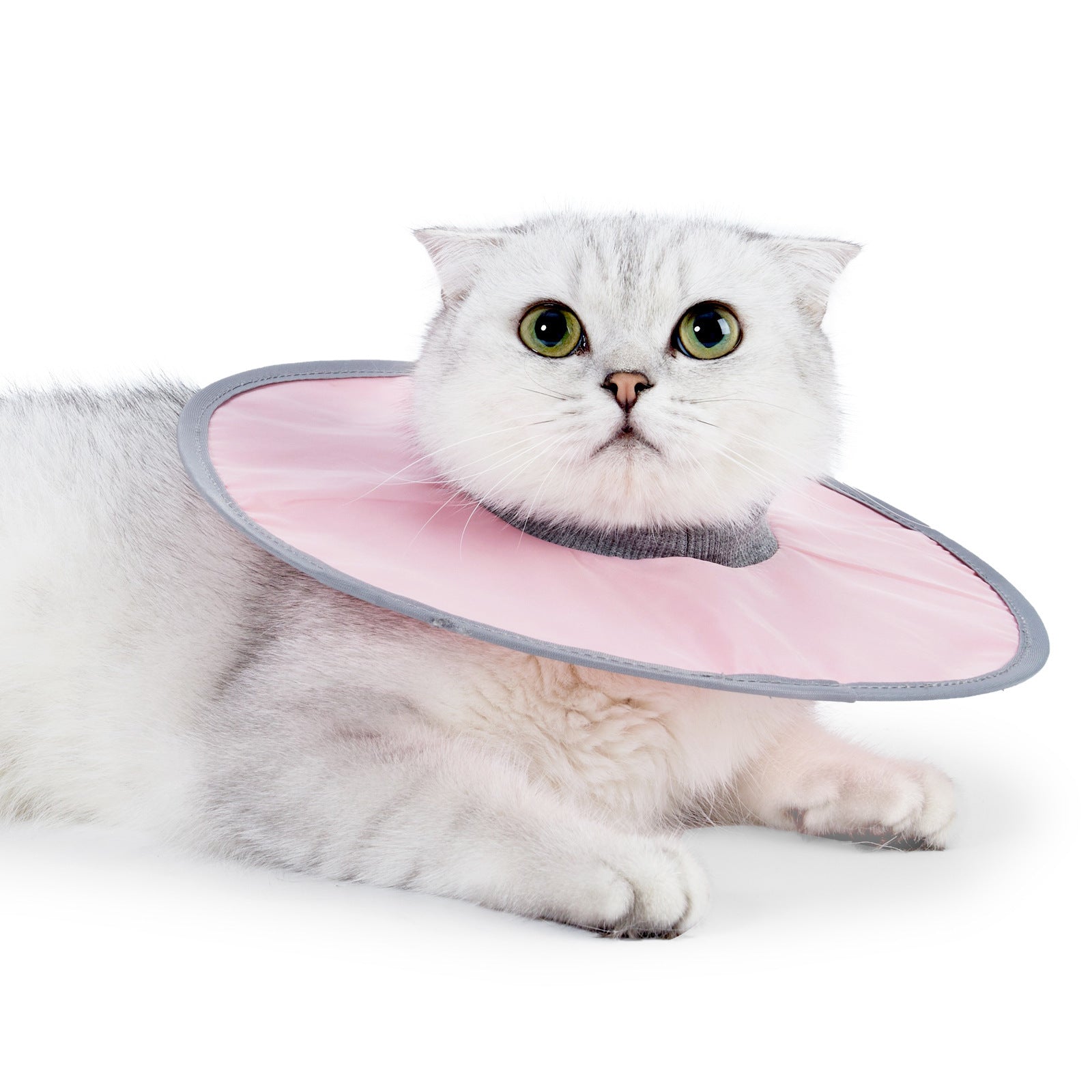 HKM-964435 Adjustable Waterproof Cat Recovery Collar for Post-Surgery Wound Protection - Lightweight Pet Cone Collar