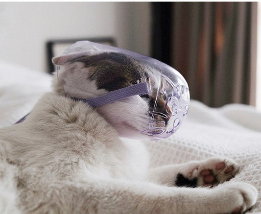 HKM-138323 Transparent Cat Eye Mask and Bite-Proof Headgear for Safe Bathing and Injection, Purple, Available in S, M, L Sizes