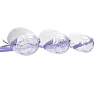 HKM-138323 Transparent Cat Eye Mask and Bite-Proof Headgear for Safe Bathing and Injection, Purple, Available in S, M, L Sizes