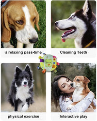 HKM-722195 Interactive Dog Toy with Built-in Chimes and Squeaky Balls for Active Play