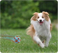 HKM-654355 Interactive Dog Ball Toy with Ring Bell for Pet Exercise and IQ Puzzle Play
