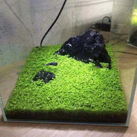HKM-631443 Aquatic Mud for Fish Tanks - 2.5 kg Water Plant Fertilizer and Silt for Aquascaping