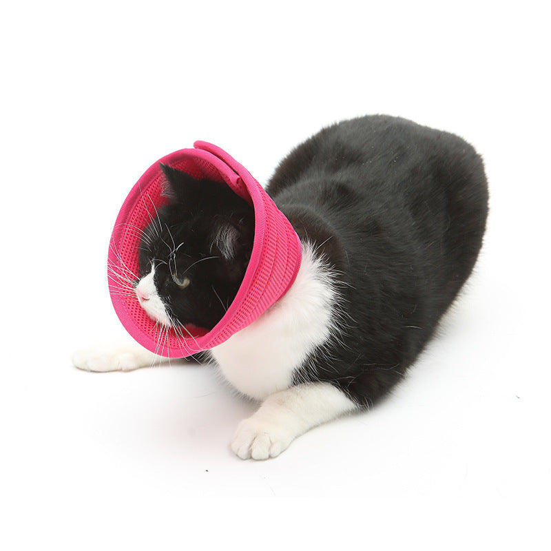 HKM-210451 Transparent Recovery Collar for Dogs and Cats ¨C Medical Anti-Bite Elizabethan Collar, Various Sizes and Colors Available