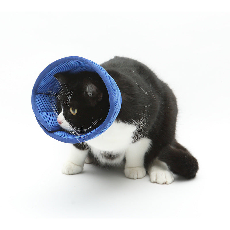 HKM-210451 Transparent Recovery Collar for Dogs and Cats ¨C Medical Anti-Bite Elizabethan Collar, Various Sizes and Colors Available