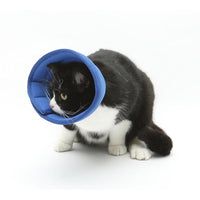 HKM-210451 Transparent Recovery Collar for Dogs and Cats ¨C Medical Anti-Bite Elizabethan Collar, Various Sizes and Colors Available
