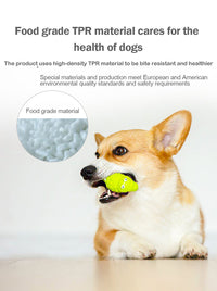 HKM-914195 Puppy Noise-Making Chew Toys in Various Animal Designs - TPR Material