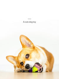 HKM-914195 Puppy Noise-Making Chew Toys in Various Animal Designs - TPR Material