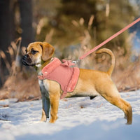 HKM-259667 Adjustable Small Dog Harness and Leash Set with Removable Fur Collar, Soft Padded Design, Quick Release Buckles, Includes Bow Tie, Perfect for Girls